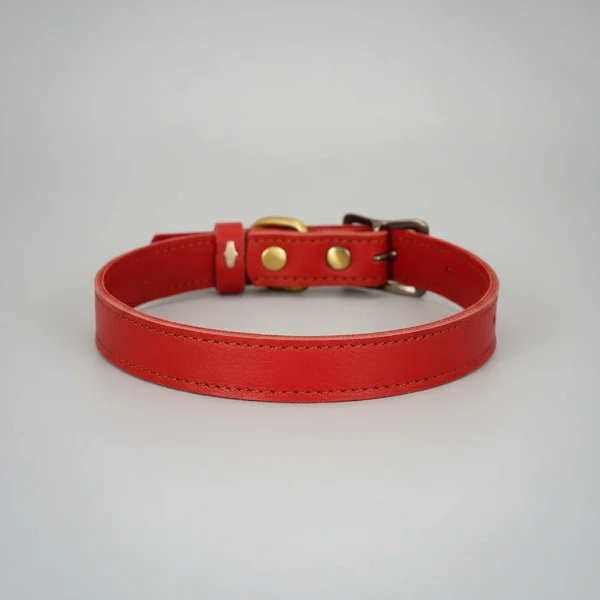 Collier En Cuir Souple Réglable Pour Petit Et Moyen Chien – Image 4