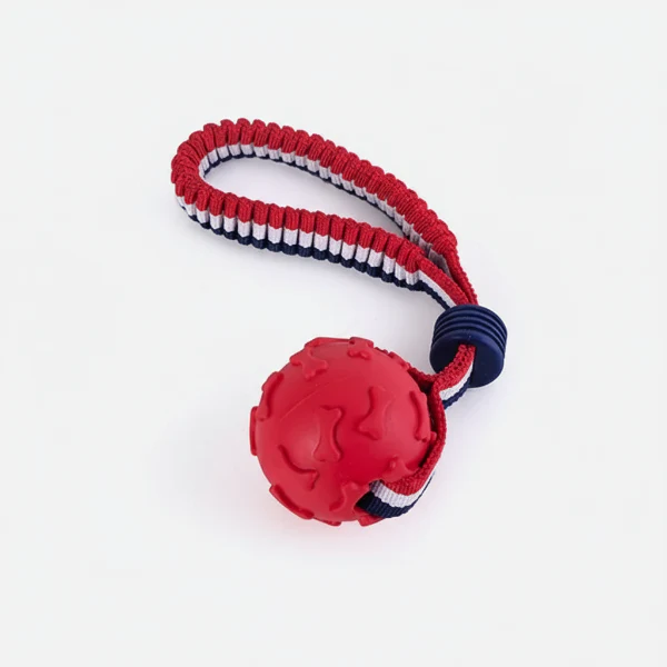 Balle Résistante A Lancer Pour Chien