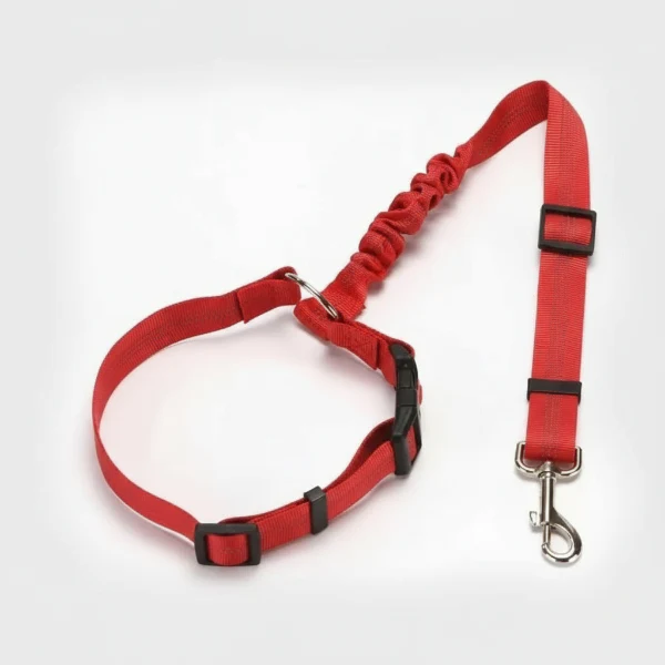 Ceinture De Sécurité Résistante Pour Chien