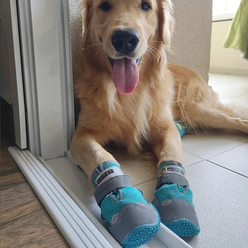 Chaussures Pour Chien Avec Semelles Antidérapantes – Image 8