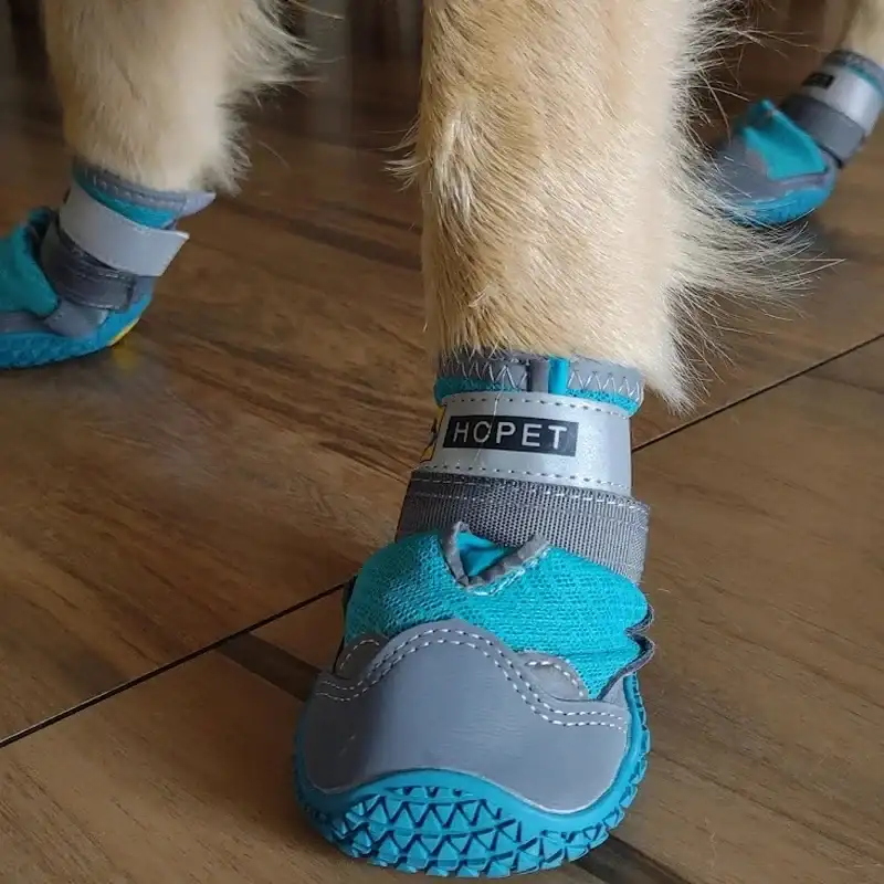 Chaussures Pour Chien Avec Semelles Antidérapantes – Image 9