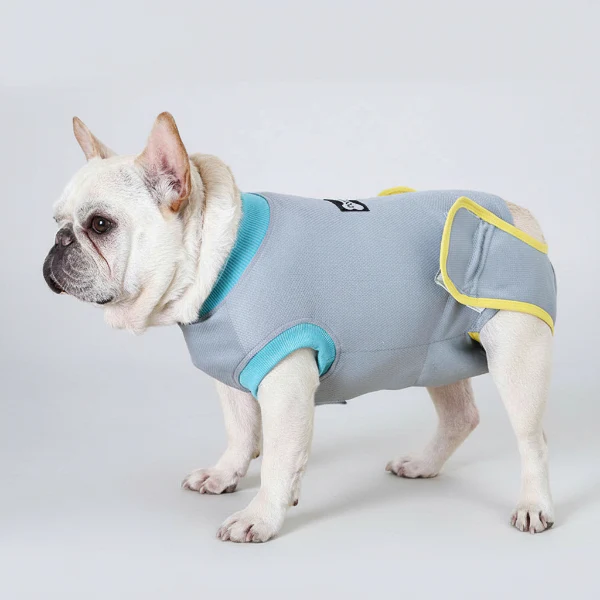 Vêtement Post-Opératoire Chien Confort Optimal