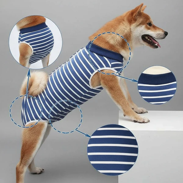 T-Shirt Post-Opératoire Chien Rayé Bleu – Image 3