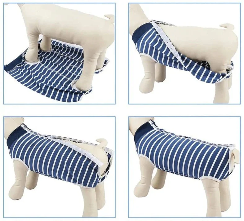 T-Shirt Post-Opératoire Chien Rayé Bleu – Image 4