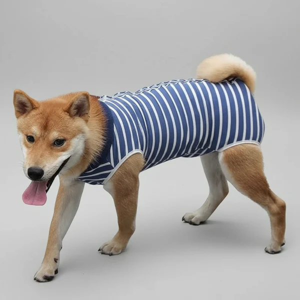 T-Shirt Post-Opératoire Chien Rayé Bleu – Image 2