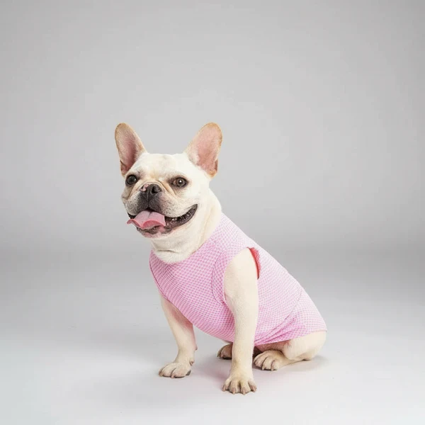 T-shirt Pour Chien Petit Confortable Et Stylé