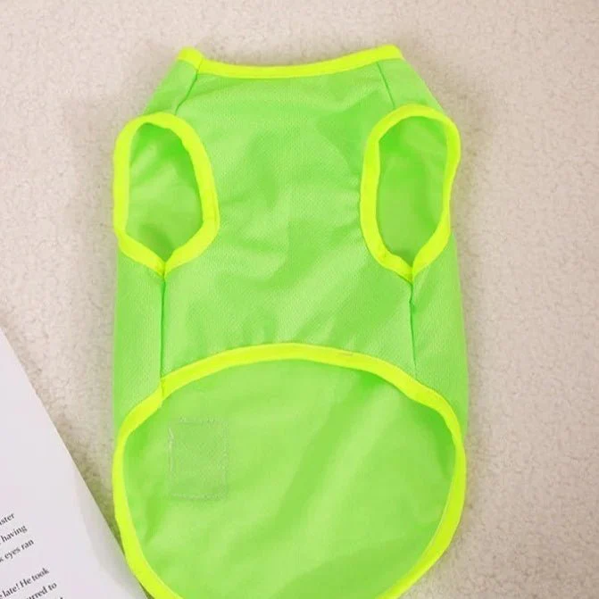 Tee-shirt chien léger - Confort design – Image 3