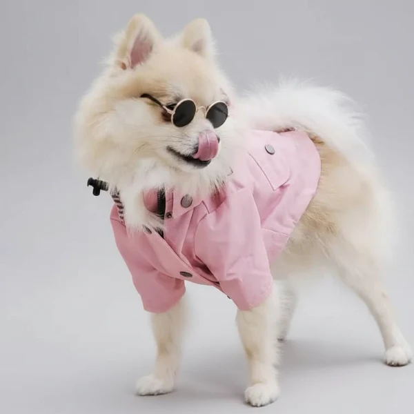 Vêtement de pluie imperméable pour chien – Image 5