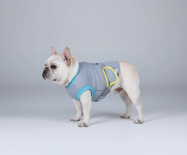 Vêtement Post-Opératoire Chien Confort Optimal – Image 2