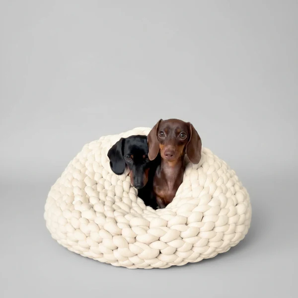 Cocon En Coton Biologique Pour Chat Oscar Et Plume – Image 4