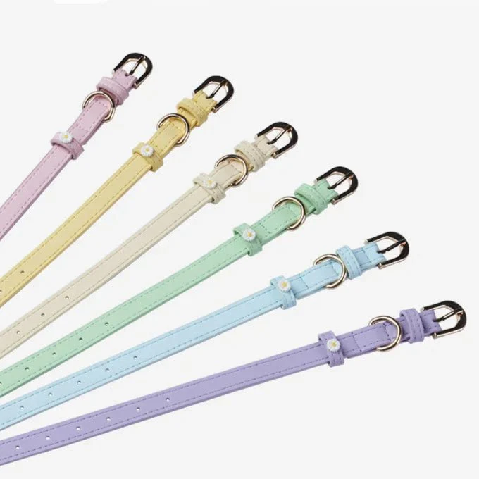 Collier Elégant Et Confortable Pour Chat – Image 9