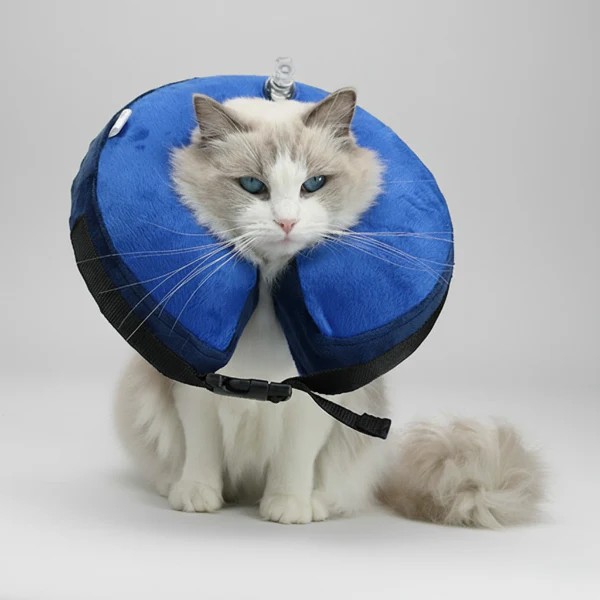 Collerette Gonflable Réglable Pour Chien Et Chat – Image 3