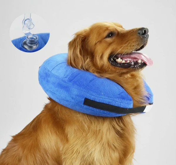 Collerette Gonflable Réglable Pour Chien Et Chat – Image 2