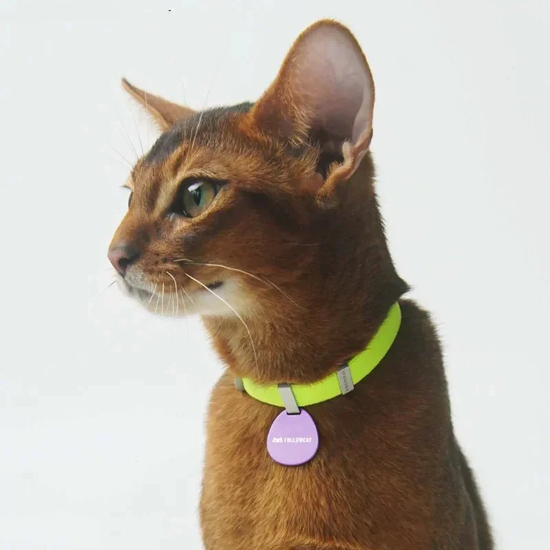 Collier Anti Étranglement Design Pour Chat Sécurisé Et Confortable - Les Bonnes Affaires – Image 2