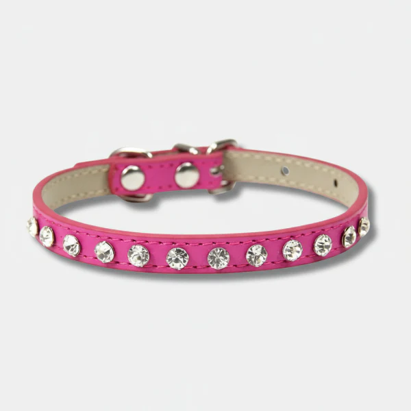 Collier Avec Brillants Pour Petit Chien Et Chat