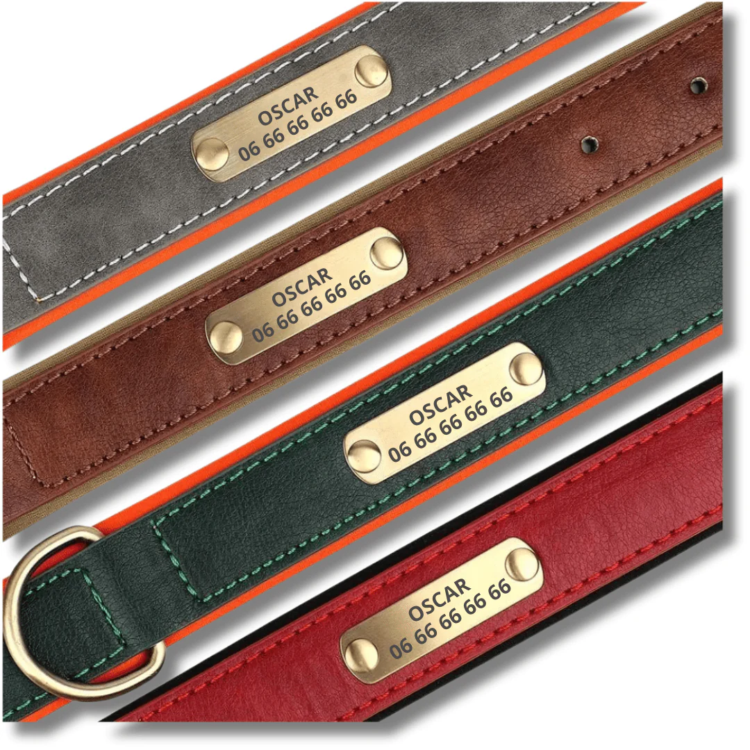Collier Chien Personnalisable Simili Cuir – Image 3