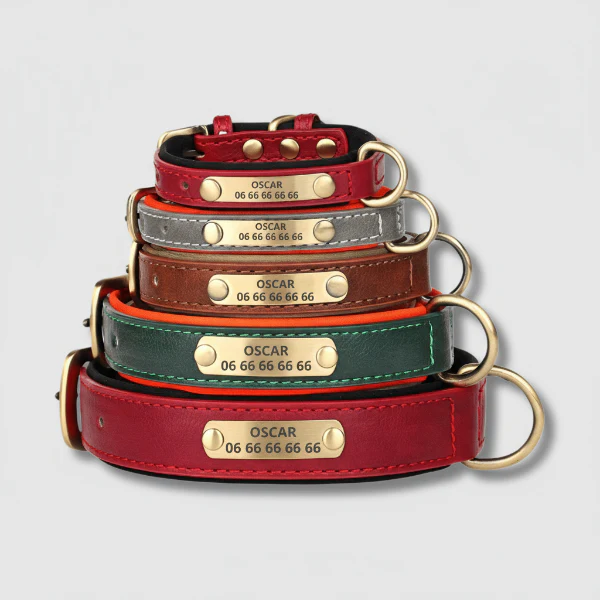 Collier Chien Personnalisable Simili Cuir – Image 2
