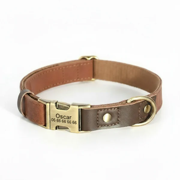 Collier Doux Personnalisable Pour Chien – Image 6