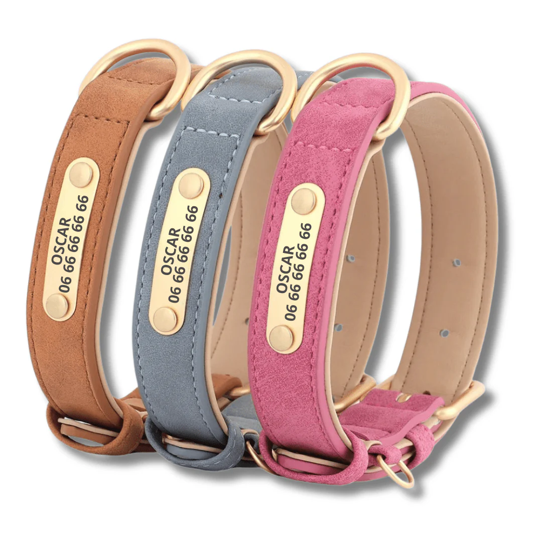 Collier Chien Personnalisable Simili Cuir – Image 4
