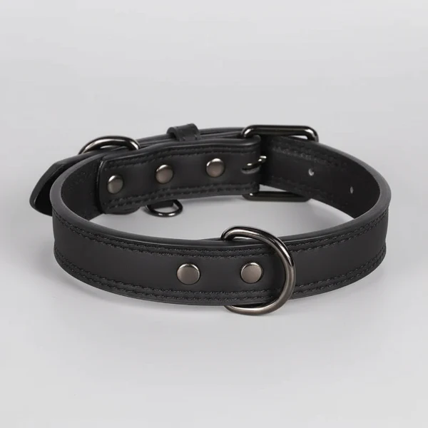 Collier Cuir Chien Élégant Et Résistant