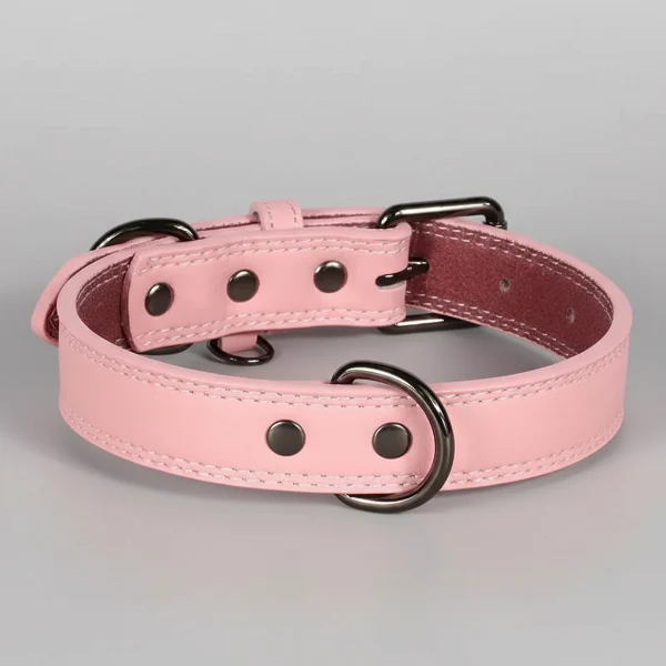 Collier Cuir Chien Élégant Et Résistant – Image 3