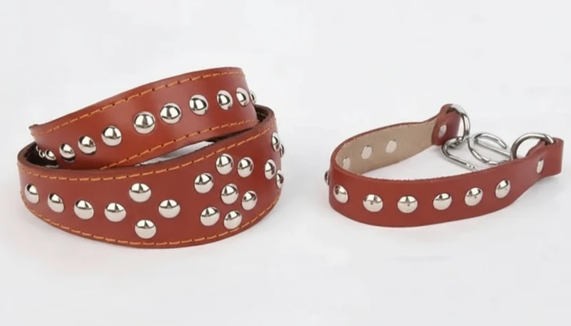 Collier Clouté Ou Avec Incrustation Perles En Cuir Pour Chien – Image 5