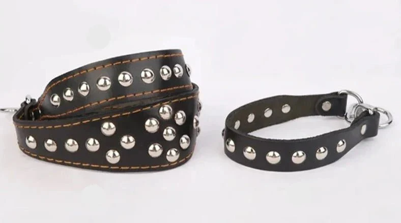 Collier Clouté Ou Avec Incrustation Perles En Cuir Pour Chien – Image 6