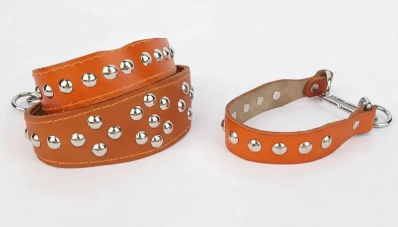 Collier Clouté Ou Avec Incrustation Perles En Cuir Pour Chien – Image 2