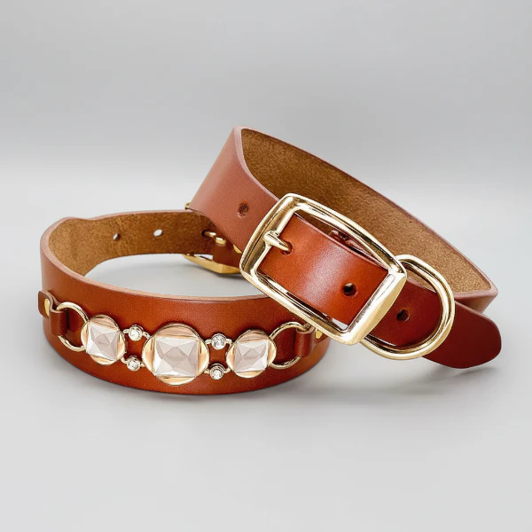 Collier Bijou En Cuir Pour Petit Chien – Image 6