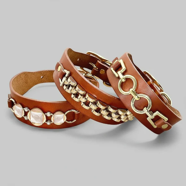 Collier Bijou En Cuir Pour Petit Chien – Image 2