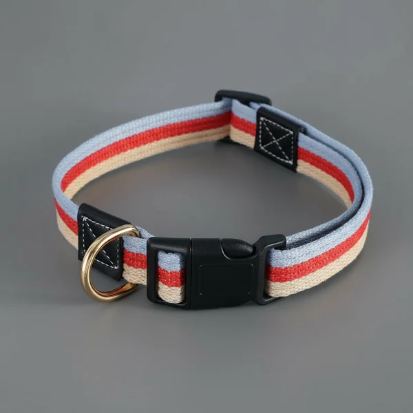 Collier En Toile Résistante Pour Chien – Image 2