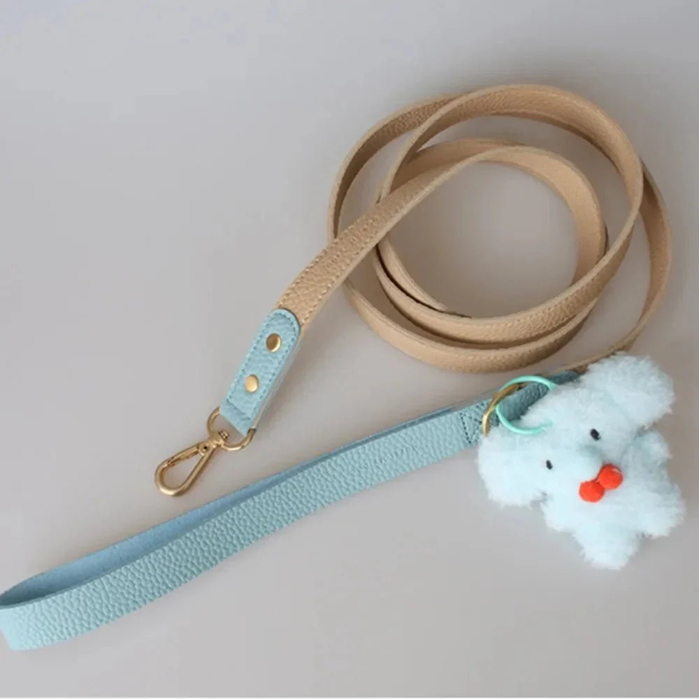 Collier Et Laisse Coloré Et Design Pour Chiot – Image 3