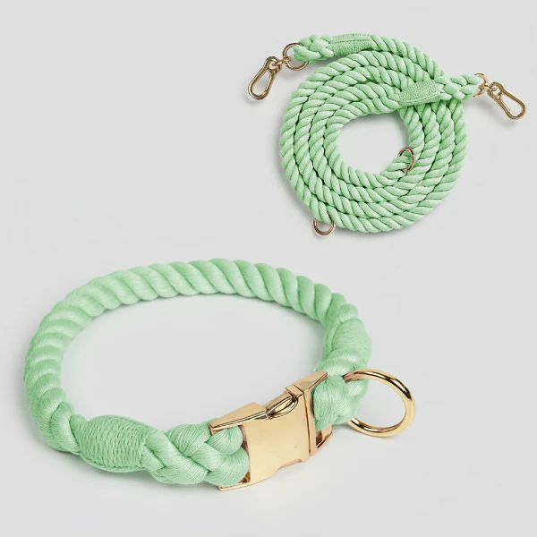 Collier Et Laisse En Coton Résistant – Image 2