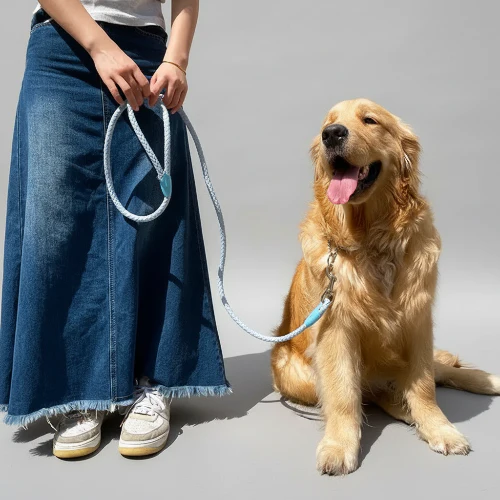 Collier Et Laisse Résistant Tressé Pour Chien – Image 2