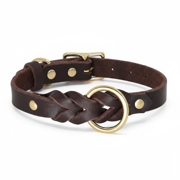 Collier Et Laisse Pour Chien En Cuir Véritable Tressé – Image 6