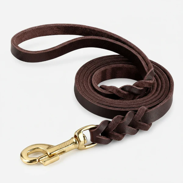 Collier Et Laisse Pour Chien En Cuir Véritable Tressé – Image 4