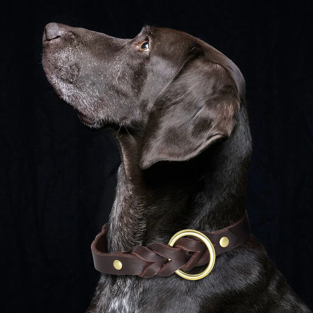 Collier Et Laisse Pour Chien En Cuir Véritable Tressé – Image 3