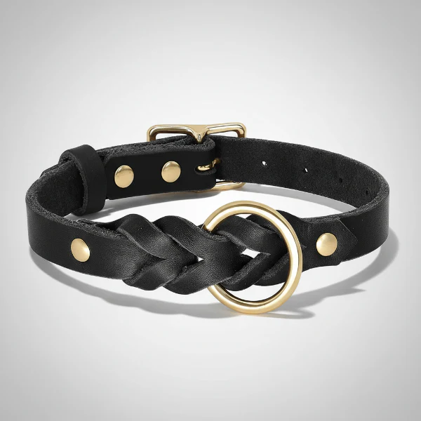 Collier Et Laisse Pour Chien En Cuir Véritable Tressé – Image 7