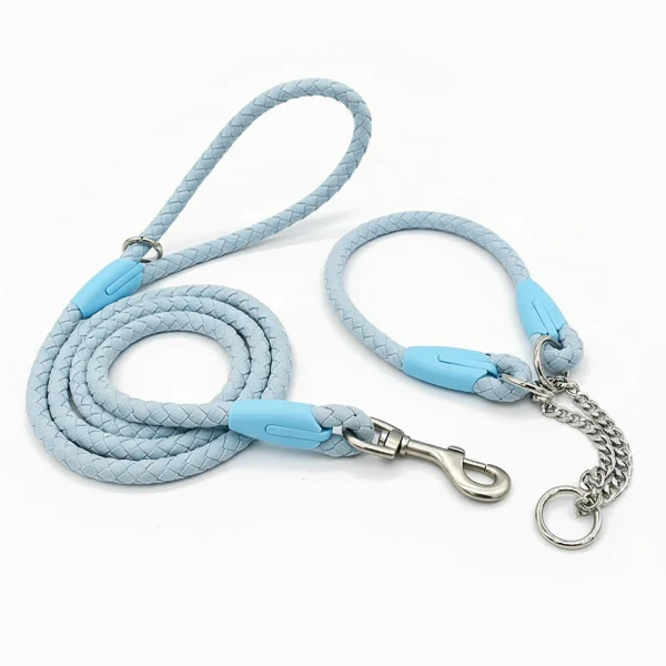 Collier Et Laisse Résistant Tressé Pour Chien