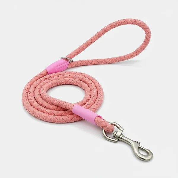 Collier Et Laisse Résistant Tressé Pour Chien – Image 7