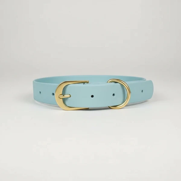 Collier Imperméable Pour Chien Design Et Résistant – Image 2