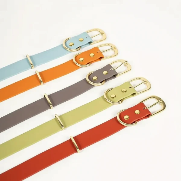 Collier Imperméable Pour Chien Design Et Résistant – Image 6