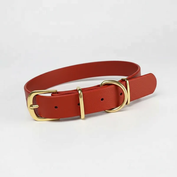 Collier Imperméable Pour Chien Design Et Résistant – Image 3