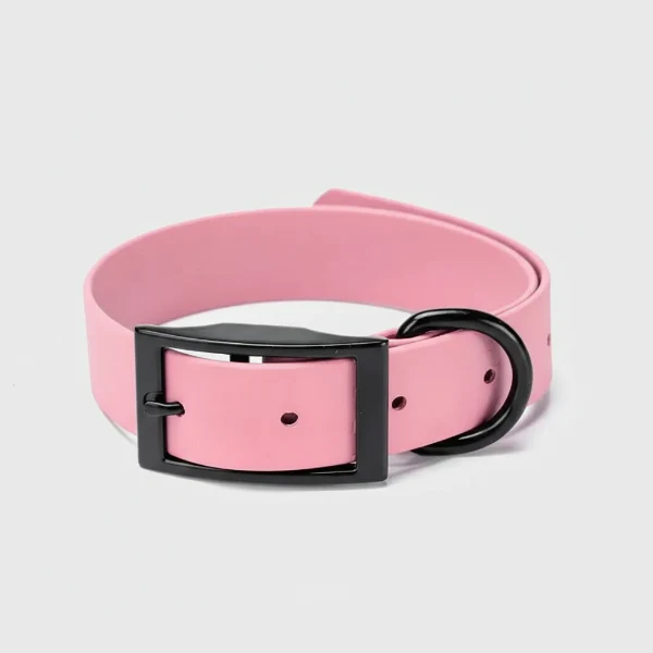 Collier Imperméable Et Résistant Pour Chien – Image 4