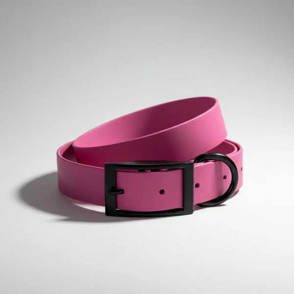 Collier Imperméable Et Résistant Pour Chien – Image 3