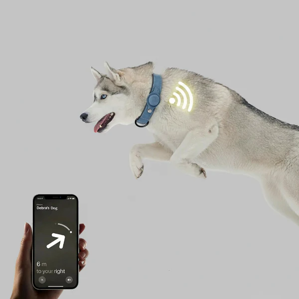 Collier Pour Chien Airtag Résistant – Image 4