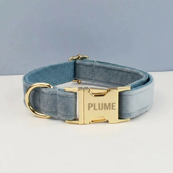 Collier Pour Chien Personnalisable Et Design – Image 2