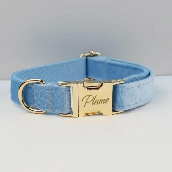 Collier Pour Chien Personnalisable Et Design – Image 7