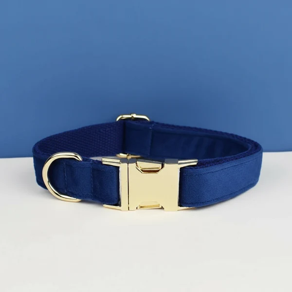 Collier Pour Chien Personnalisable Et Design – Image 3