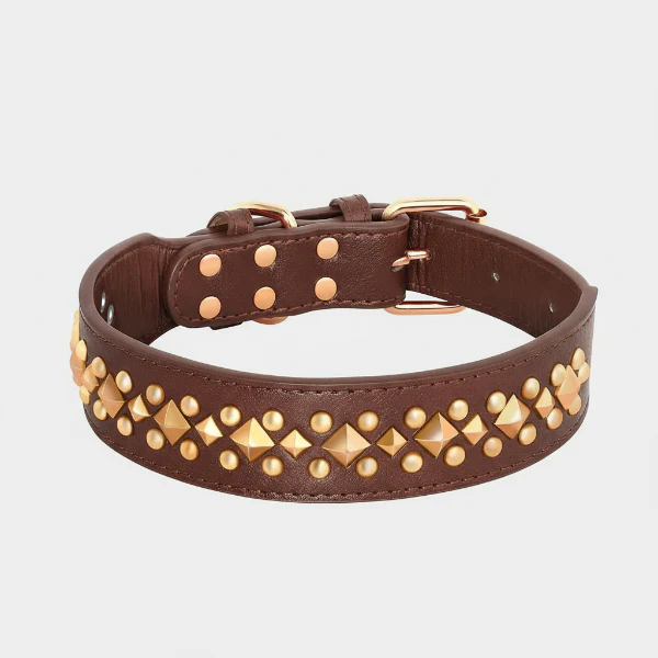 Collier Pour Chien Design Cuir Clouté